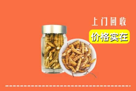 收购资讯:昌都市察雅回收散虫草