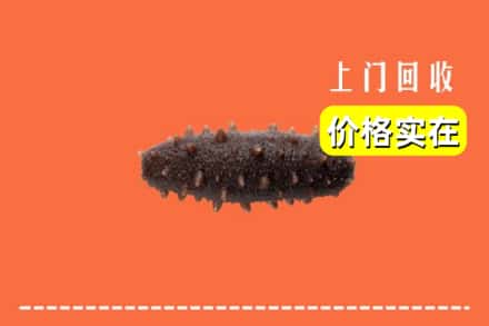 收购资讯:昌都市察雅回收海参