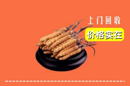 昌都市察雅回收冬虫夏草